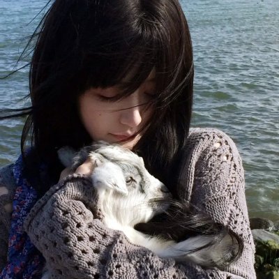 肥猫正传粤语
